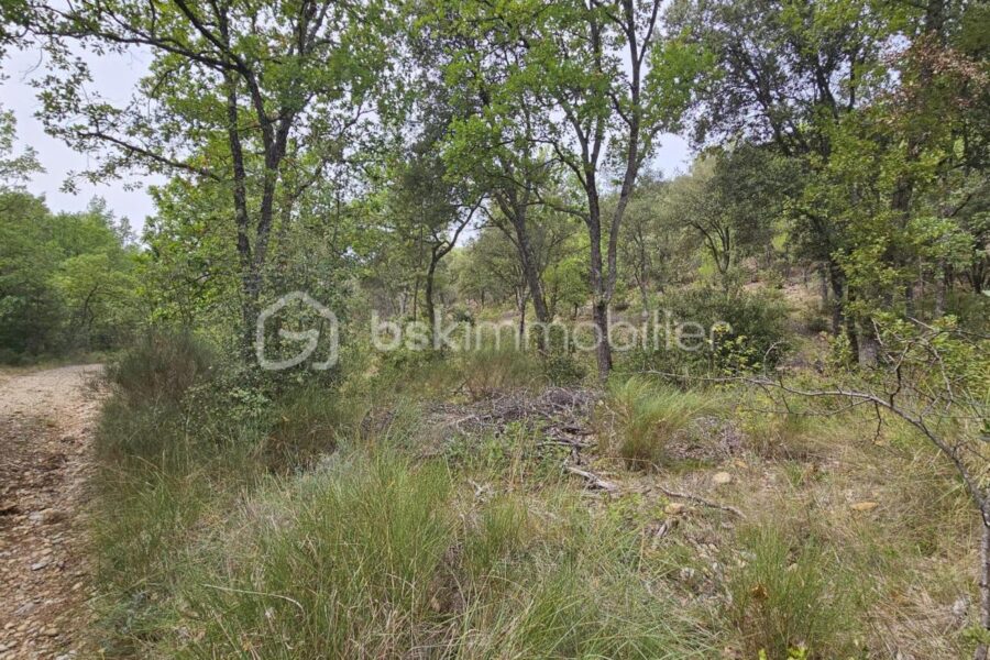 Terrain à vendre à Oraison — Vue dégagée — photo 3