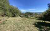 Terrain à vendre à Montluel — Vue nature — photo 2