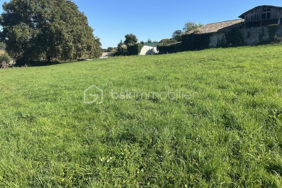 Terrain à vendre à Cercoux — Vue dégagée — photo 1
