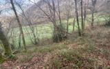 Terrain à vendre à Esson — Vue nature — photo 1