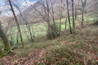 Terrain à vendre à Esson