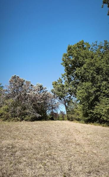 Terrain à vendre à Villemur sur tarn — Vue nature — photo 1