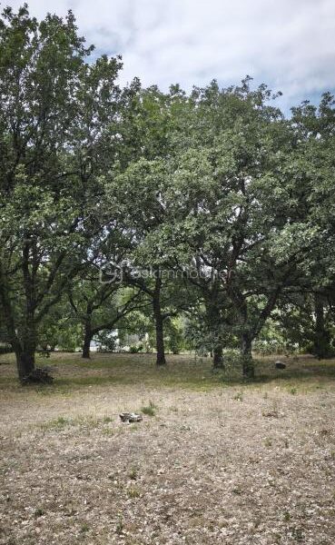 Terrain à vendre à Bouloc — Vue dégagée — photo 2