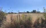 Terrain à vendre à Calignac — Vue nature — photo 2