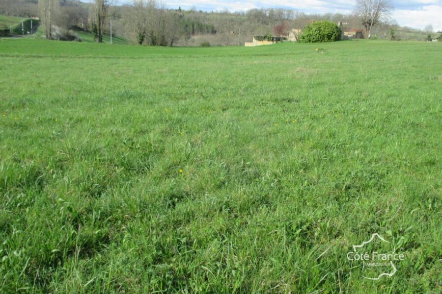 Terrain à vendre à Belves — Vue nature — photo 3
