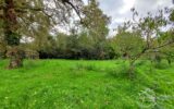 Terrain à vendre à Louchats — Vue dégagée — photo 2