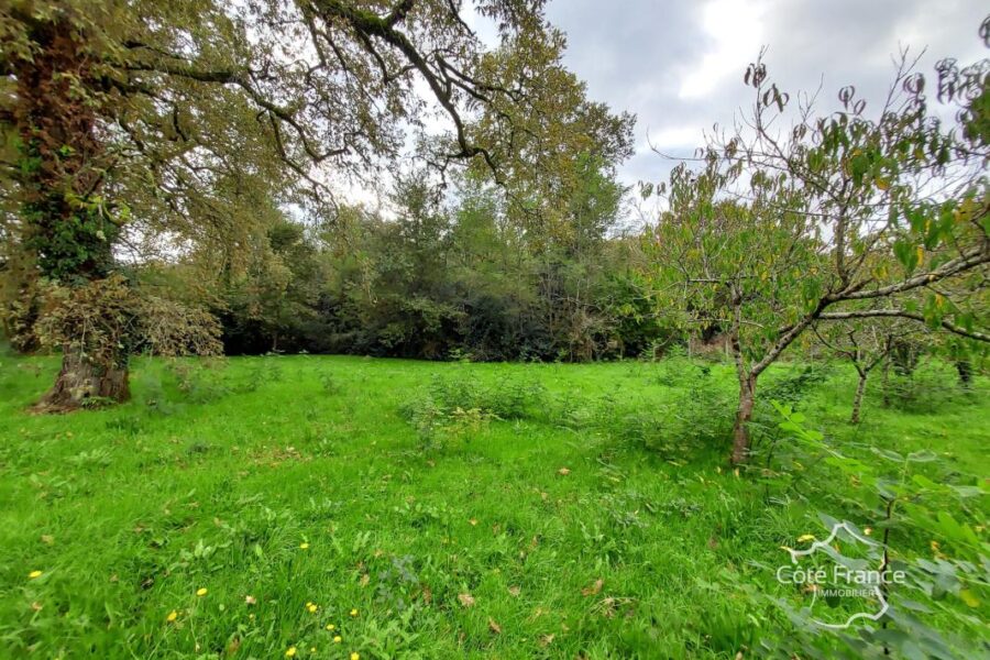 Terrain à vendre à Louchats — Vue dégagée — photo 2