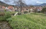 Terrain à vendre à Dieffenbach au val — Vue montagne — photo 3