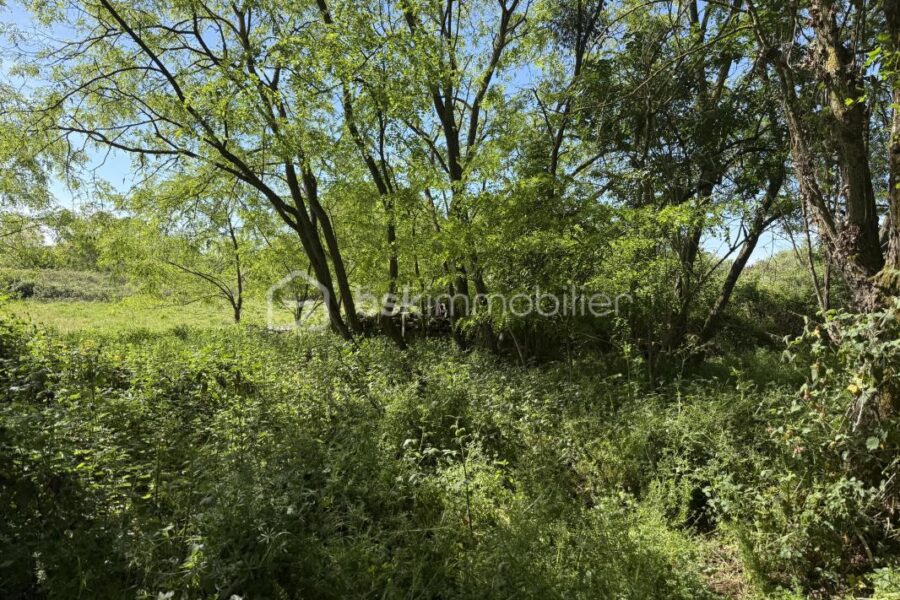 Terrain à vendre à Le mans — Vue dégagée — photo 1