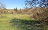 Terrain à vendre à Tourtoirac — Vue nature — photo 2