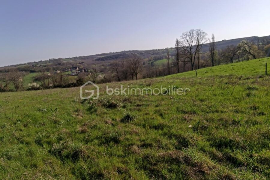 Terrain à vendre à Nailhac — Vue nature — photo 1
