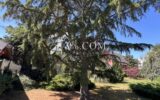 Terrain à vendre à Selestat — Vue dégagée — photo 2