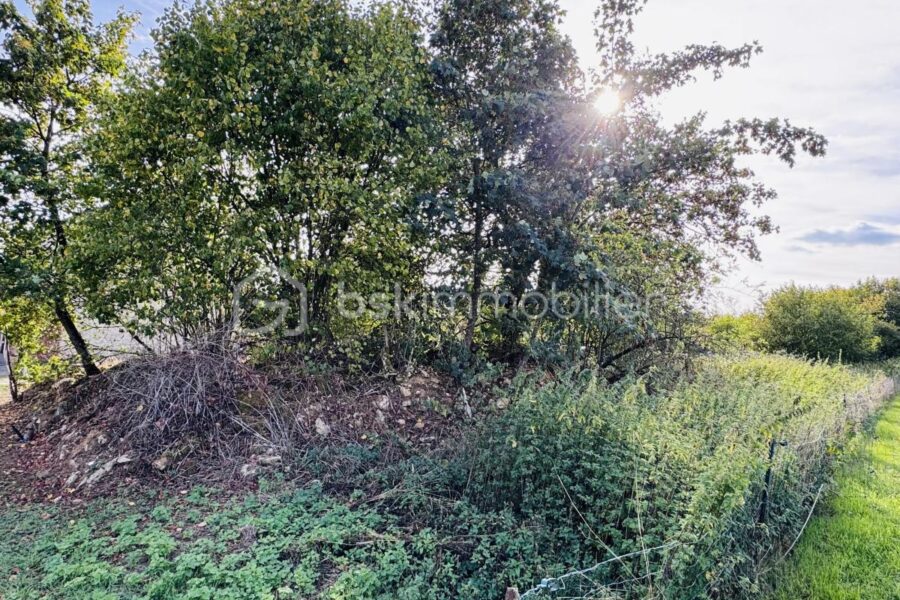 Terrain à vendre à Vendresse — Vue dégagée — photo 2
