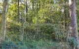 Terrain à vendre à Bailleul — Vue dégagée — photo 2