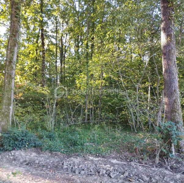 Terrain à vendre à Bailleul — Vue dégagée — photo 2