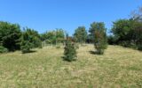 Terrain à vendre à Chateau salins — Vue nature — photo 2