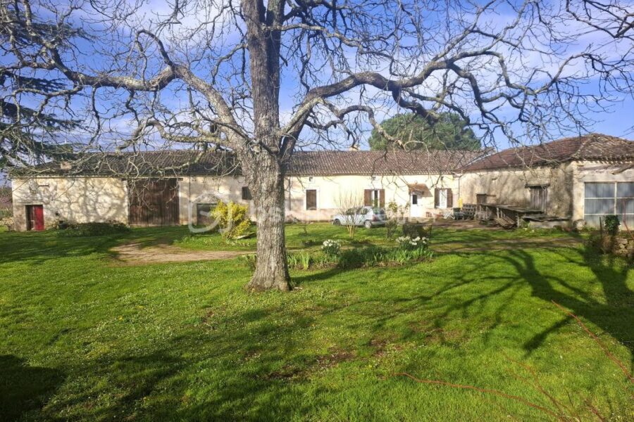 Maison à vendre à Pujols — Vue nature — photo 3