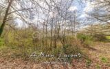 Terrain à vendre à Pruniers en sologne — photo 2