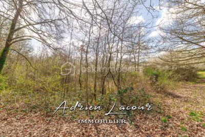 Terrain à vendre à Pruniers en sologne