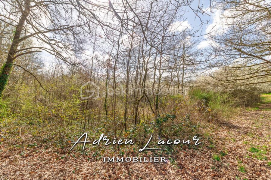 Terrain à vendre à Pruniers en sologne — photo 2