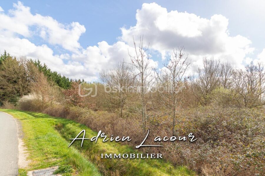 Terrain à vendre à Pruniers en sologne — Vue nature — photo 2