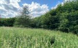 Terrain à vendre à Gaillon — Vue nature — photo 1