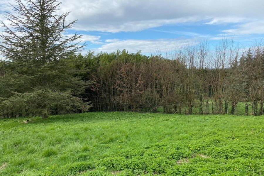 Terrain à vendre à Le val d hazey — photo 2