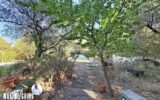 Maison à vendre à Cournonsec — Vue nature — photo 20