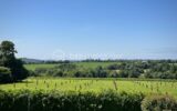 Maison à vendre à Briec — Vue nature — photo 20