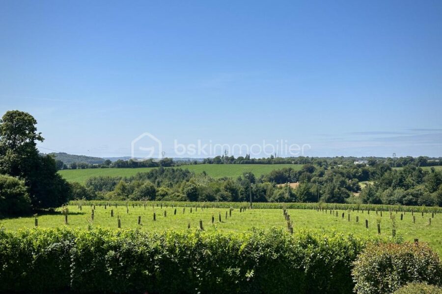Maison à vendre à Briec — Vue nature — photo 20