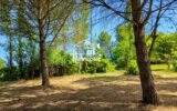 Maison à vendre à Narbonne — Vue nature — photo 1