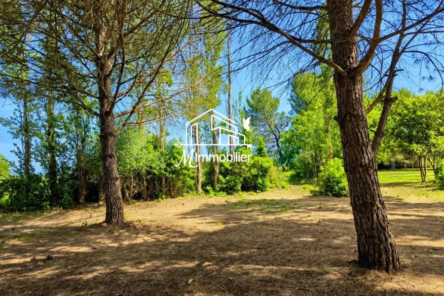 Maison à vendre à Narbonne — Vue nature — photo 1