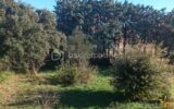 Maison à vendre à Saint hilaire d ozilhan — Vue nature — photo 21