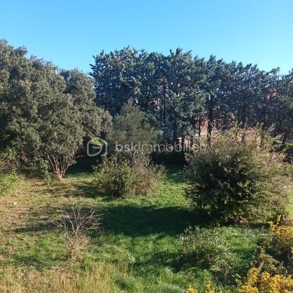 Maison à vendre à Saint hilaire d ozilhan — Vue nature — photo 21