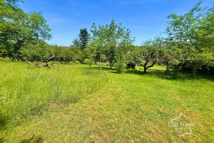 Maison à vendre à Courcelles — Vue nature — photo 21