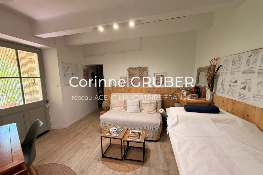 Maison à vendre à Digne-les-bains — Vue montagne — photo 19
