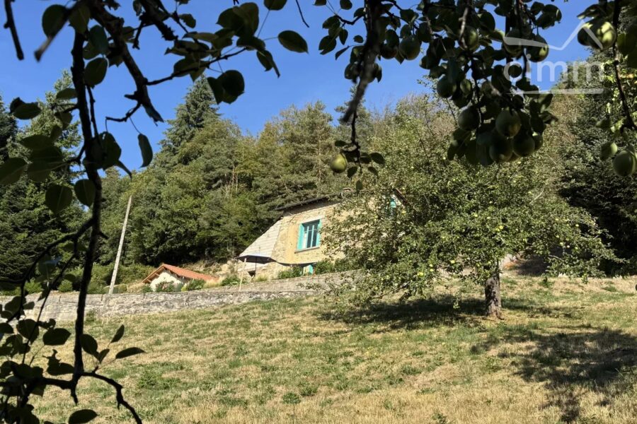 Maison à vendre à Thiolières — Vue montagne — photo 3