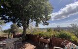 Maison à vendre à Maurs — Vue nature — photo 23