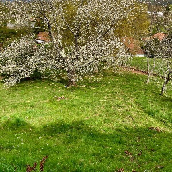Maison à vendre à Cambo les bains — Vue nature — photo 23