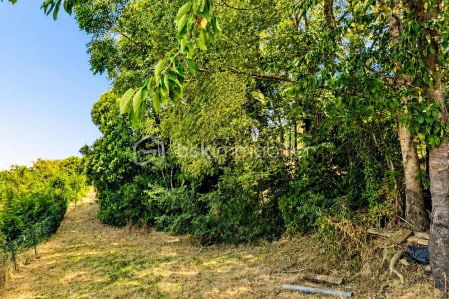 Maison à vendre à Auch — Vue sur la ville — photo 23