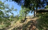 Maison à vendre à Verthemex — Vue nature — photo 23