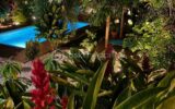Maison à vendre à Saint francois — Vue nature — photo 24