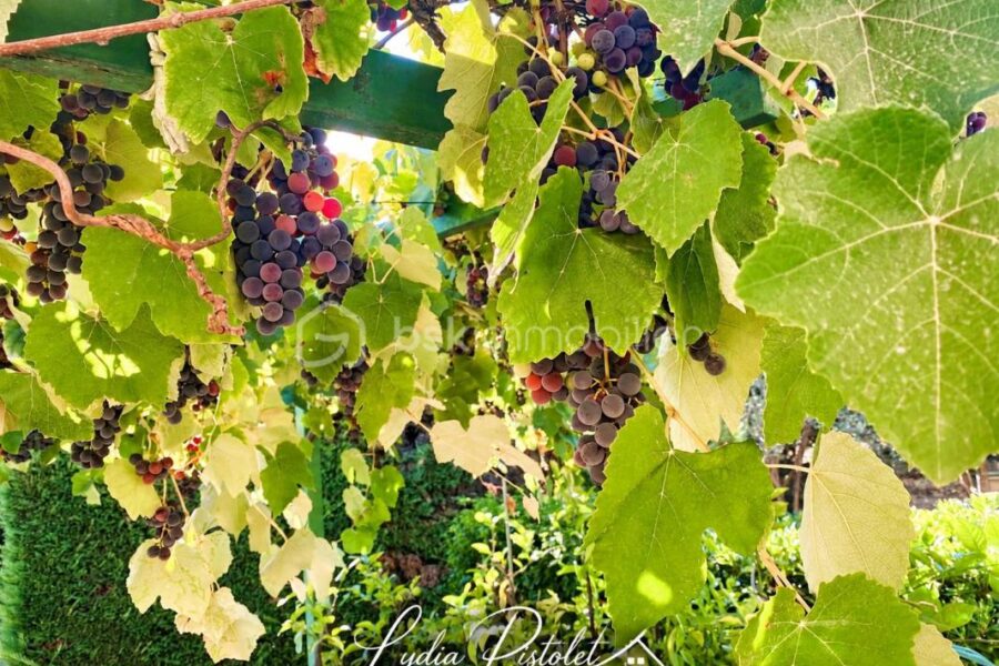 Maison à vendre à Apt — Vue nature — photo 24