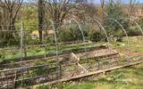 Maison à vendre à Cambo les bains — Vue nature — photo 25