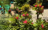 Maison à vendre à Saint francois — Vue nature — photo 25