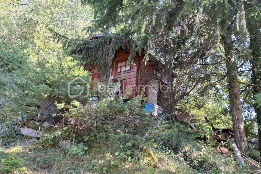 Maison à vendre à Verthemex — Vue nature — photo 26