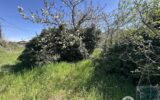 Terrain à vendre à Saint rambert d&rsquo;albon — Vue dégagée — photo 2