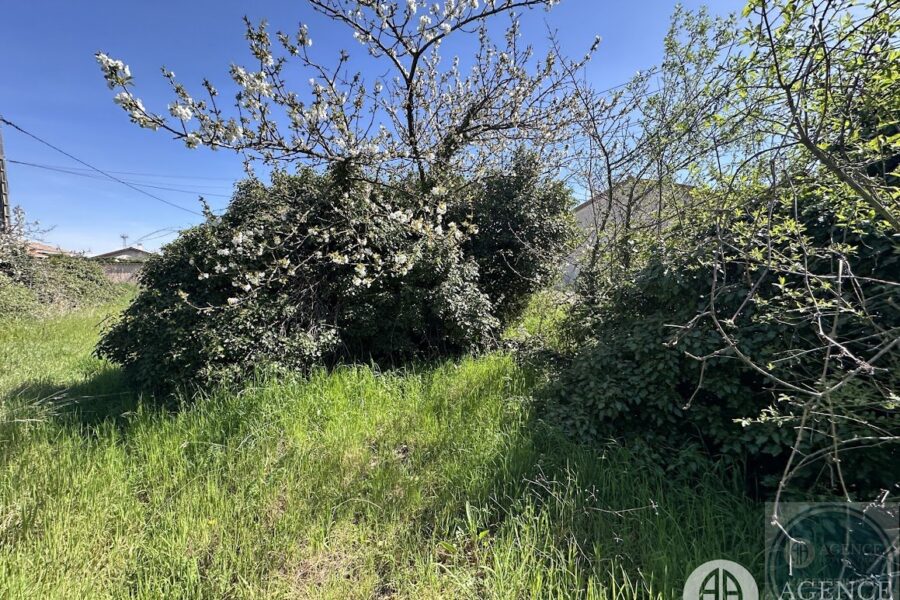Terrain à vendre à Saint rambert d&rsquo;albon — Vue dégagée — photo 2