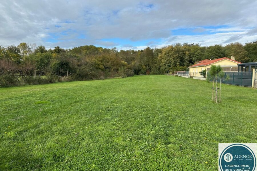 Maison à vendre à Manthes — Vue nature — photo 18