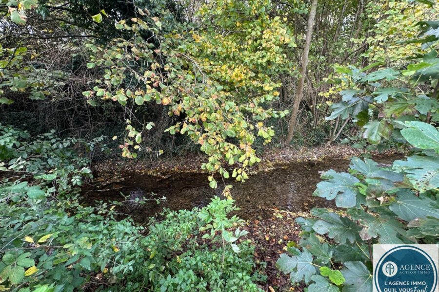 Maison à vendre à Manthes — Vue nature — photo 4